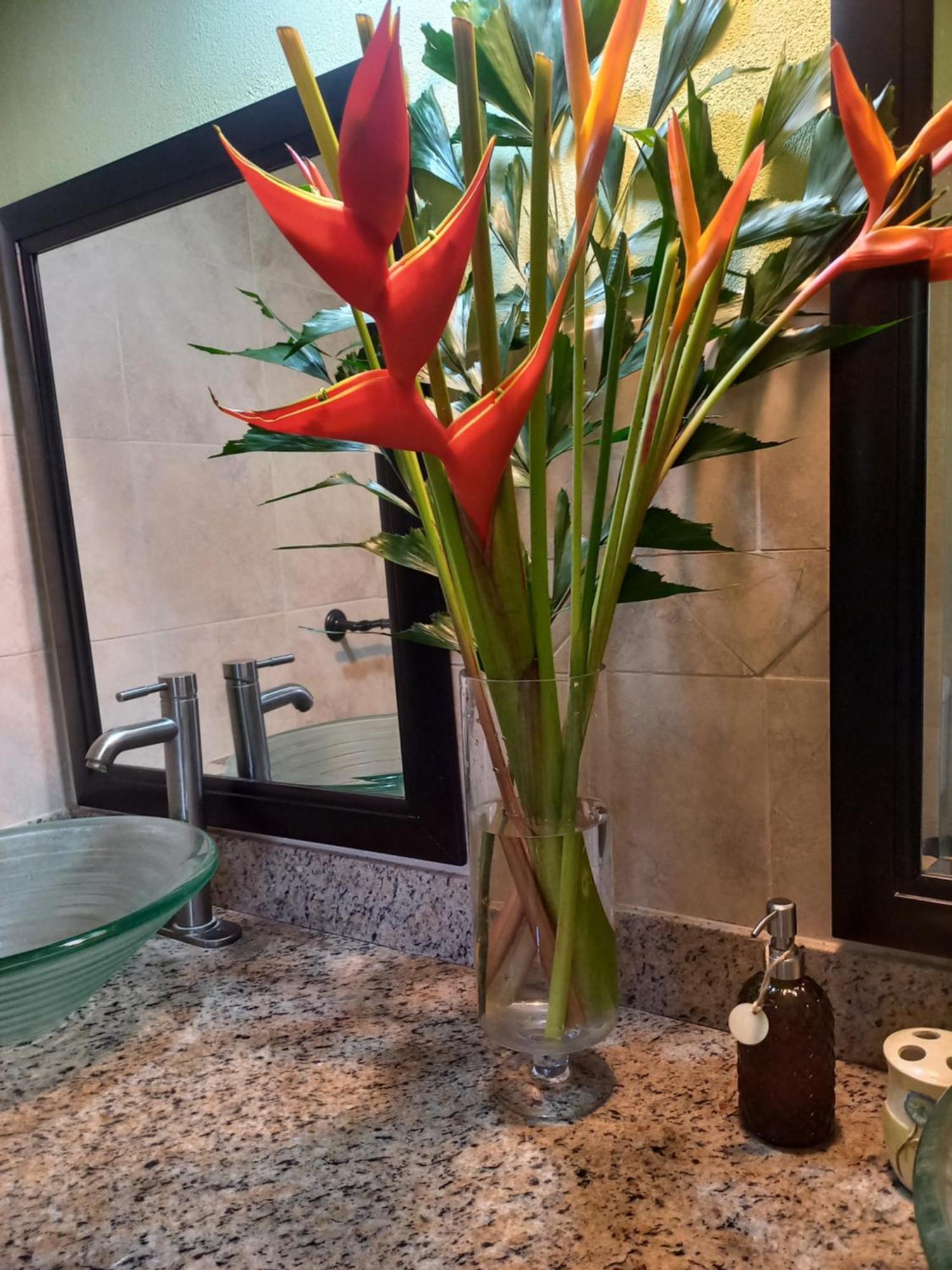 Bellevue Hideaway Villa Gros Islet Kültér fotó